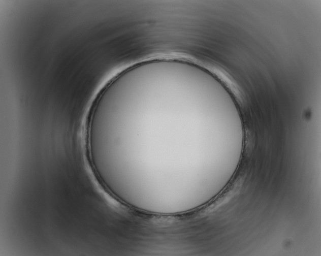 X0000103431046200809121032