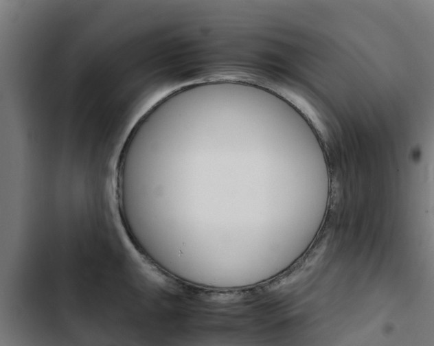 X0000103431047200809121032