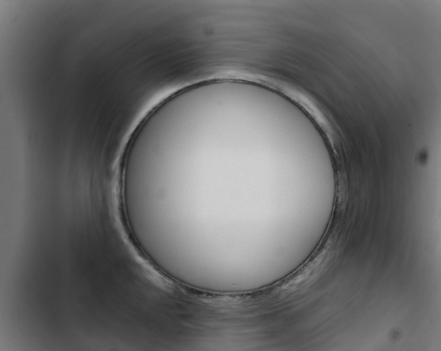 X0000103431048200809121032