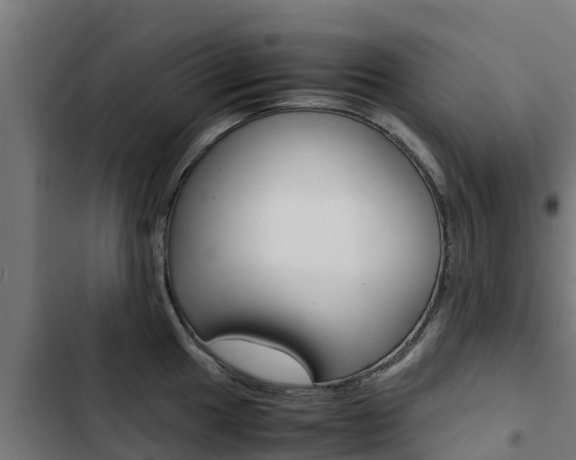 X0000103431049200809121032