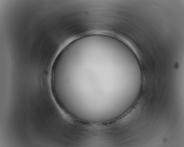 X0000103431050200809121032