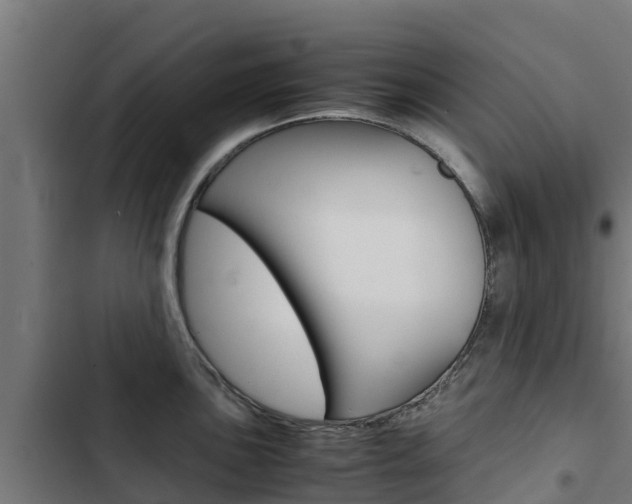 X0000103431051200809121032