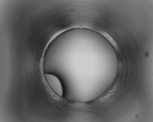 X0000103431052200809121032