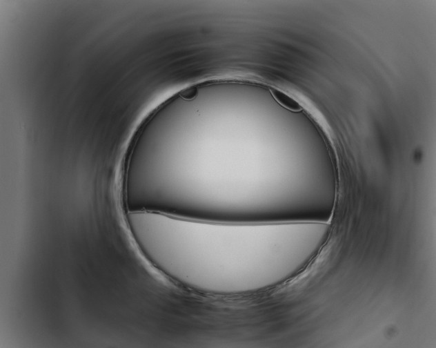 X0000103431053200809121032