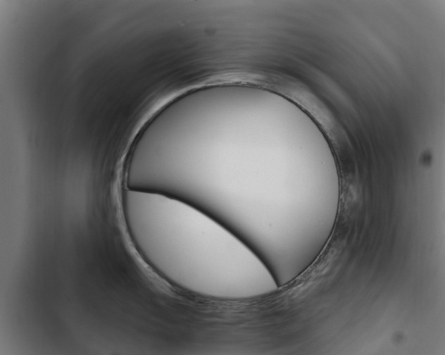 X0000103431055200809121032