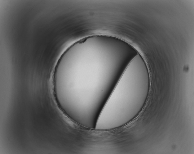 X0000103431056200809121032