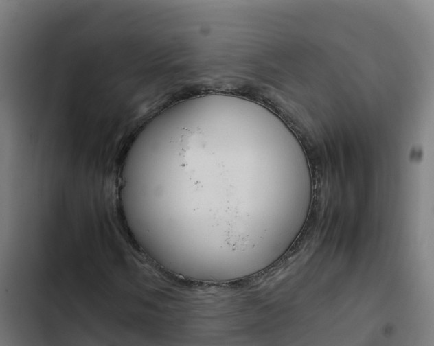 X0000103431058200809121031