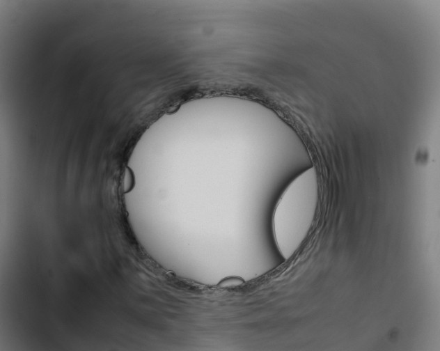 X0000103431059200809121031