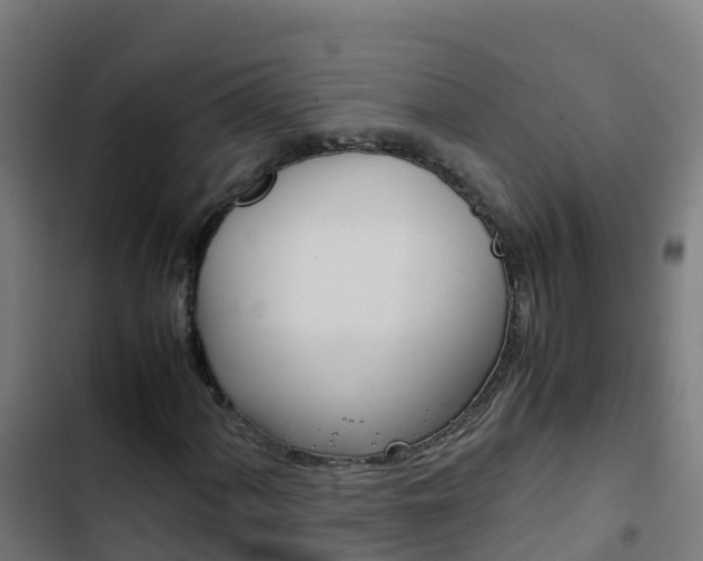 X0000103431060200809121031