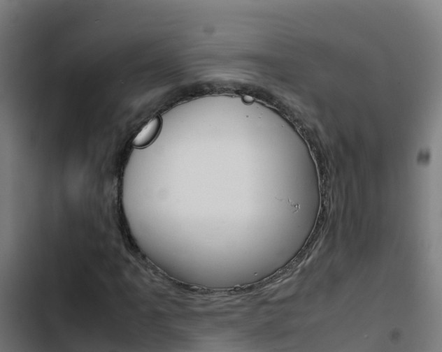 X0000103431061200809121031