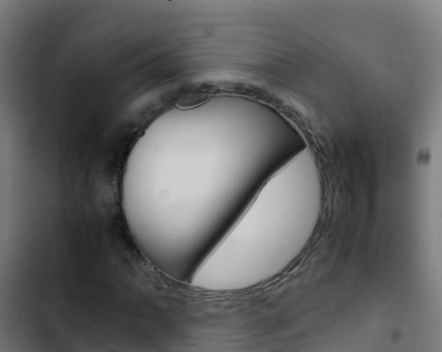 X0000103431062200809121031