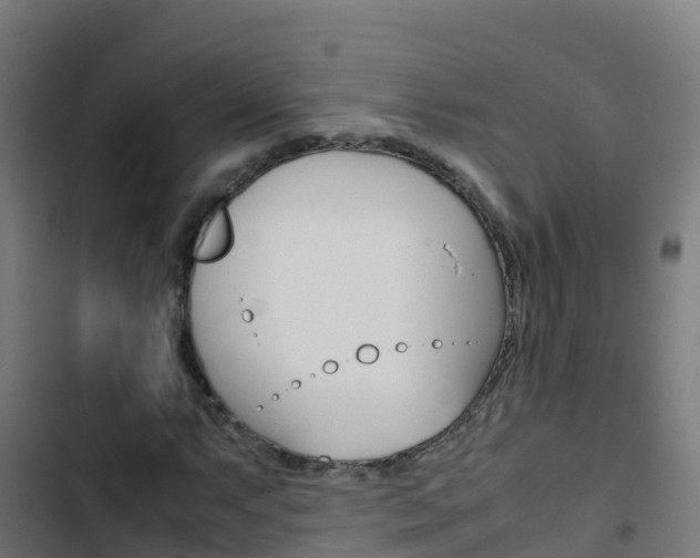 X0000103431063200809121031