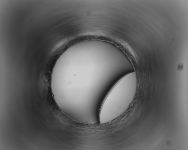 X0000103431064200809121031