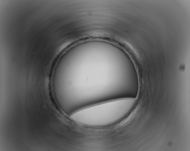 X0000103431065200809121031