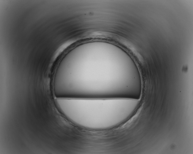 X0000103431066200809121031