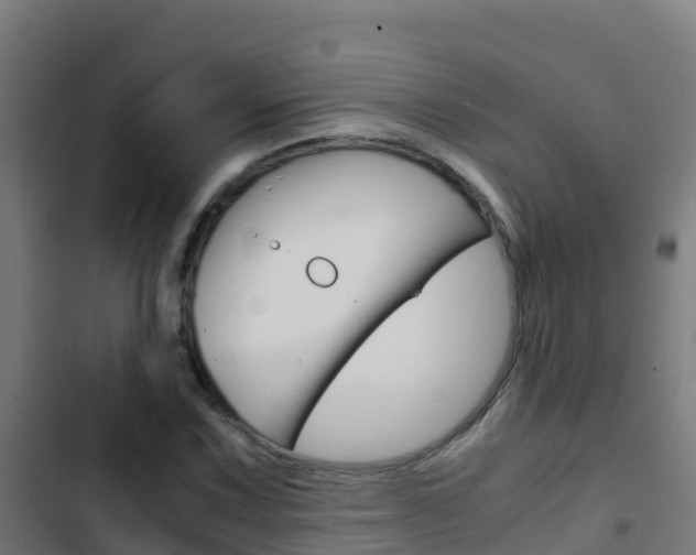 X0000103431067200809121031