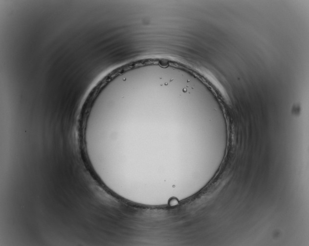 X0000103431068200809121031