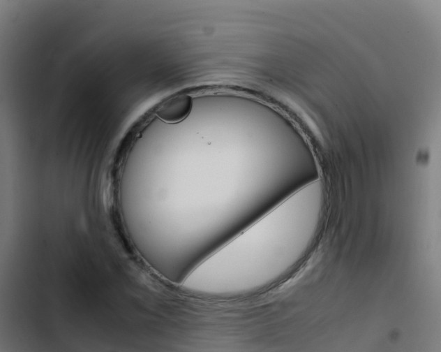 X0000103431069200809121031