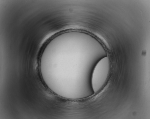 X0000103431070200809121031