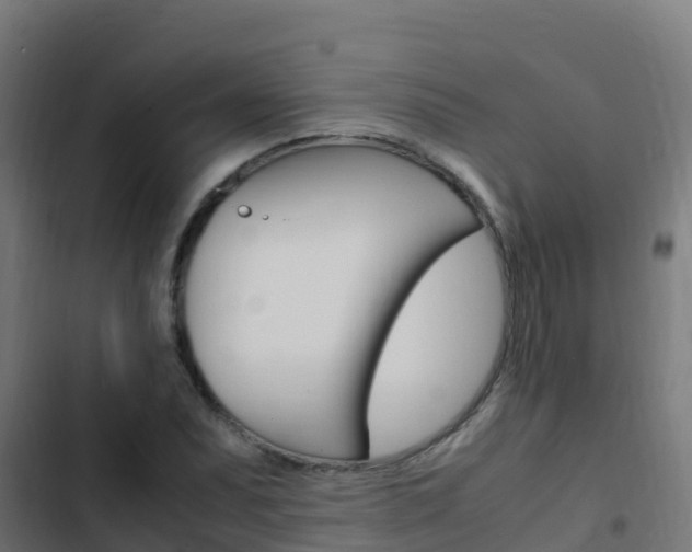 X0000103431071200809121031