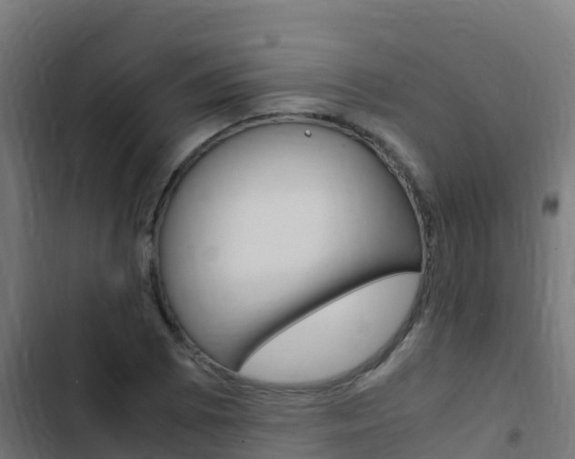 X0000103431073200809121031