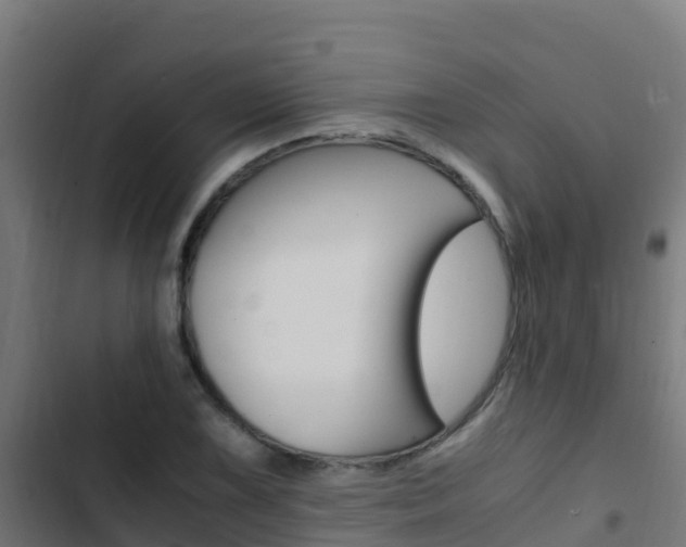 X0000103431075200809121031
