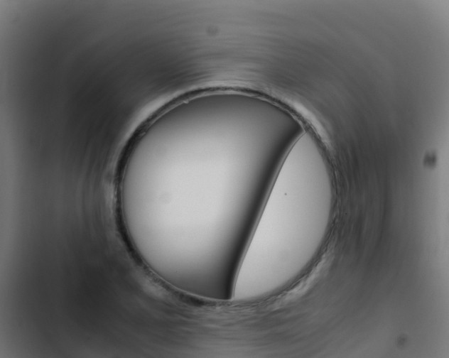 X0000103431077200809121031