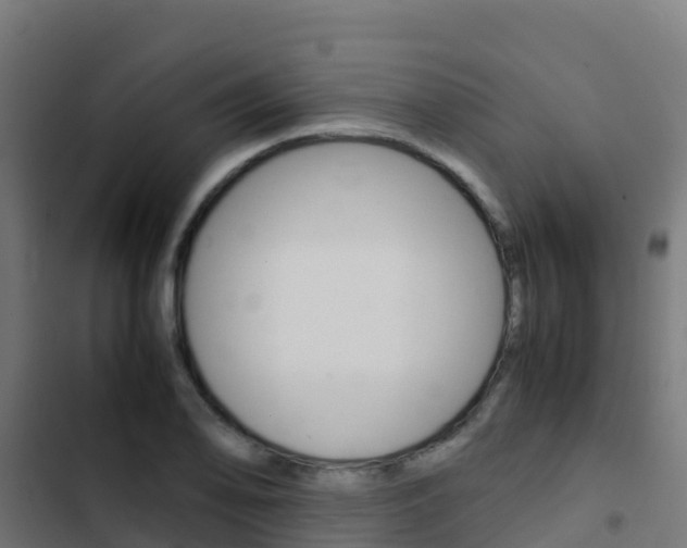 X0000103431078200809121031