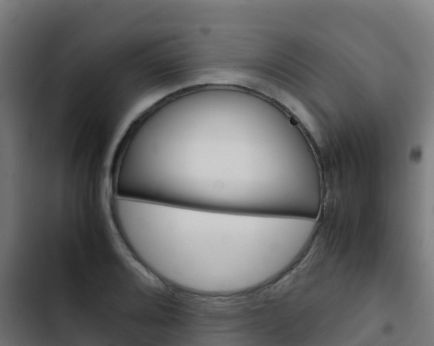 X0000103431080200809121031