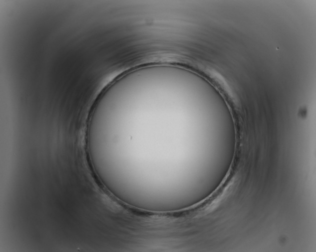 X0000103431081200809121031