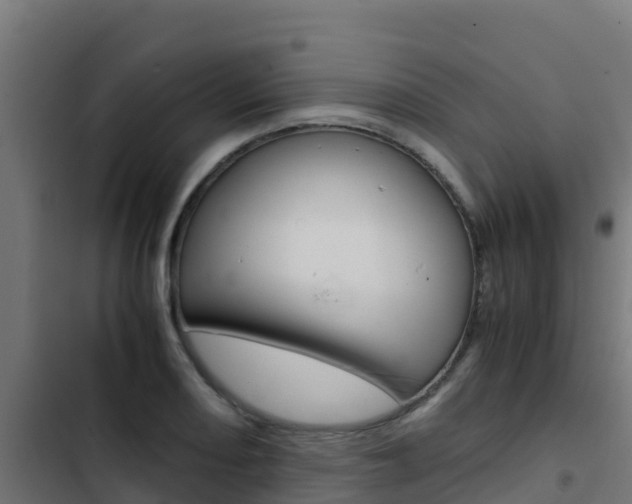 X0000103431082200809121031