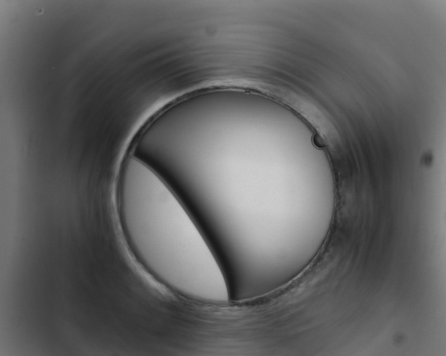X0000103431084200809121031