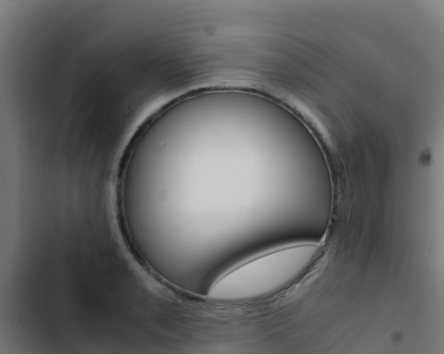 X0000103431085200809121031
