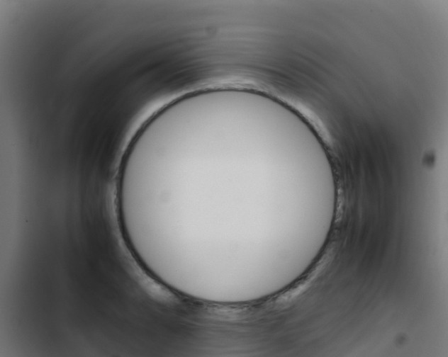 X0000103431086200809121031