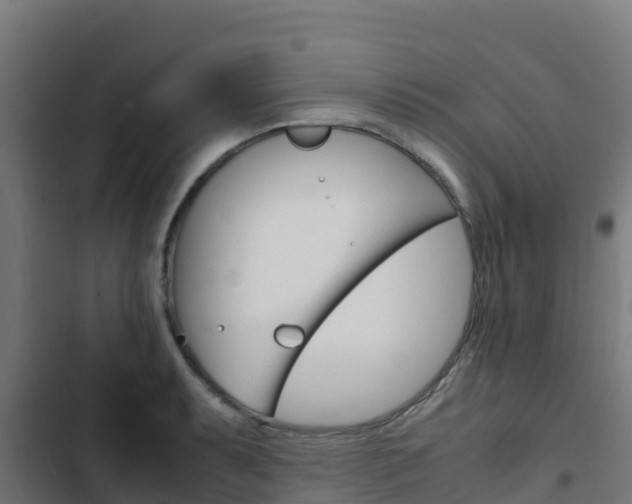 X0000103431087200809121031