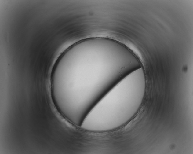 X0000103431088200809121031