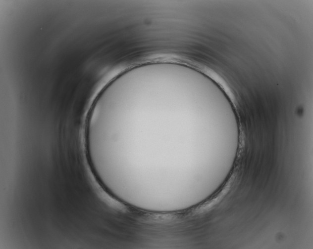 X0000103431090200809121031
