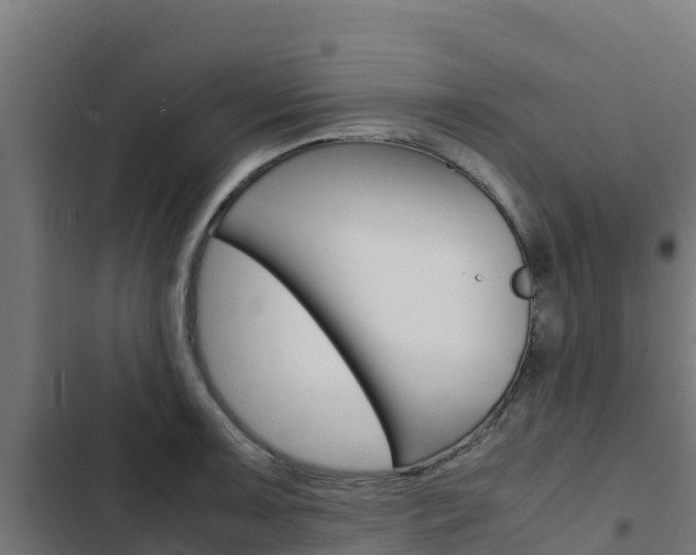 X0000103431091200809121031