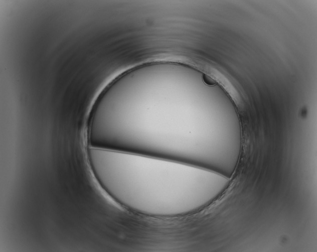 X0000103431092200809121031