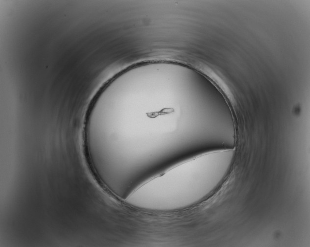 X0000103431093200809121031