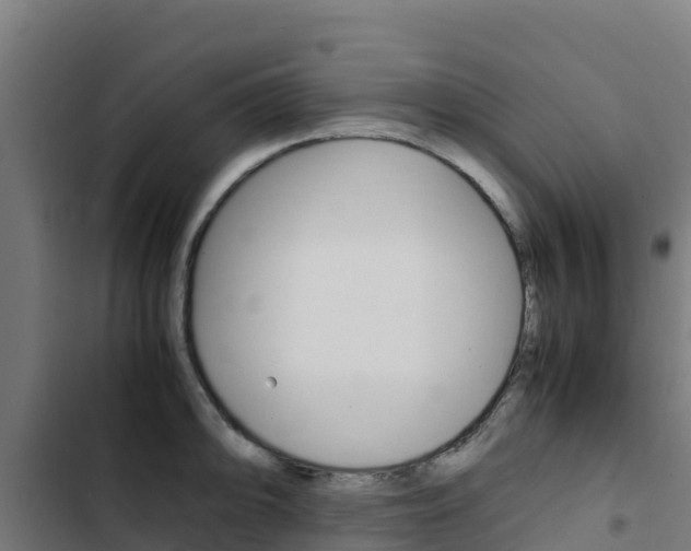 X0000103431094200809121031