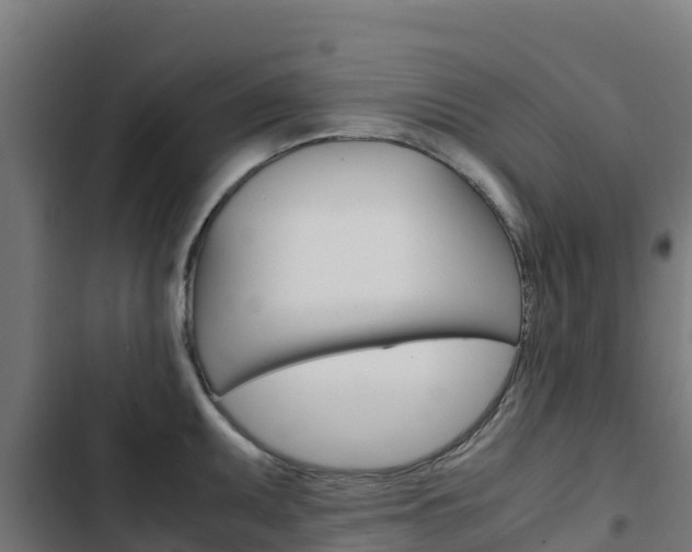 X0000103431095200809121031