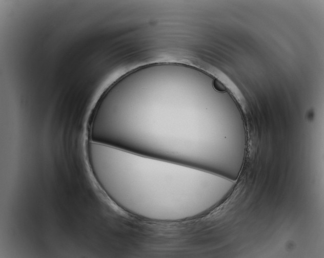 X0000103431096200809121031