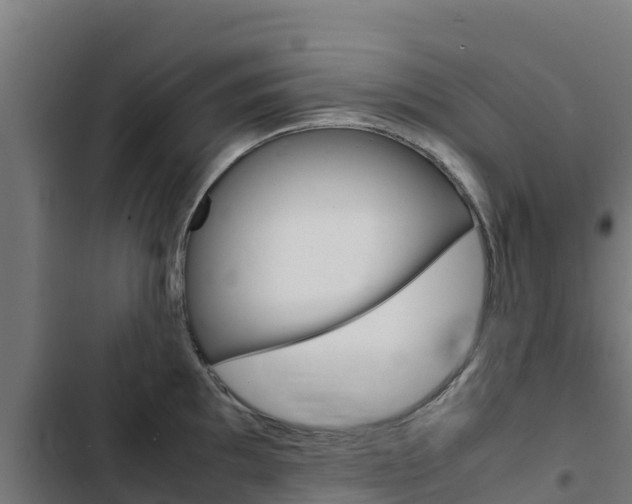 X0000103431097200809121031