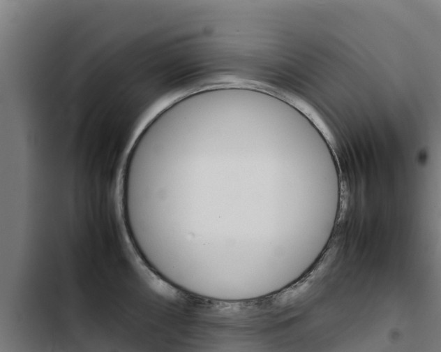 X0000103431098200809121031