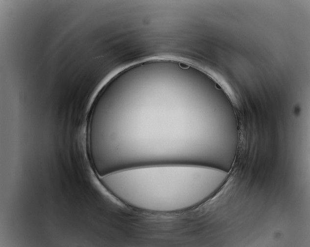 X0000103431100200809121031