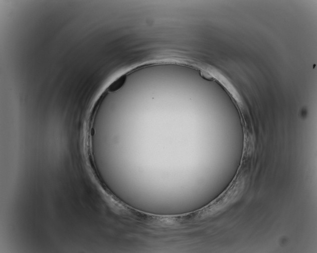 X0000103431101200809121031