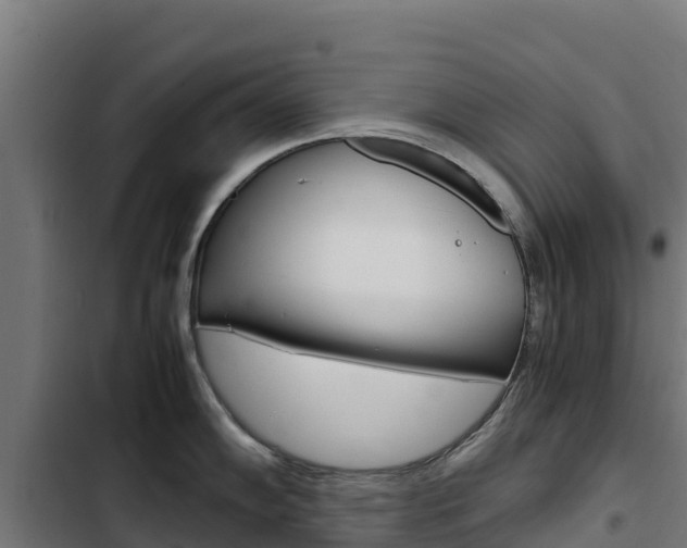 X0000103431102200809121031