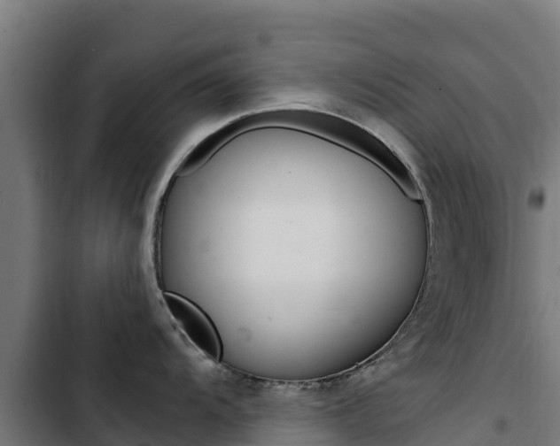 X0000103431104200809121030