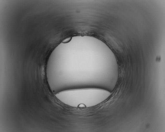 X0000103431106200809121030